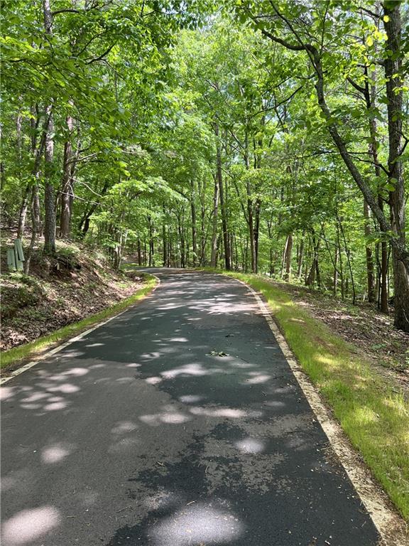 9070 Yearling Lane, Big Canoe, Georgia image 4