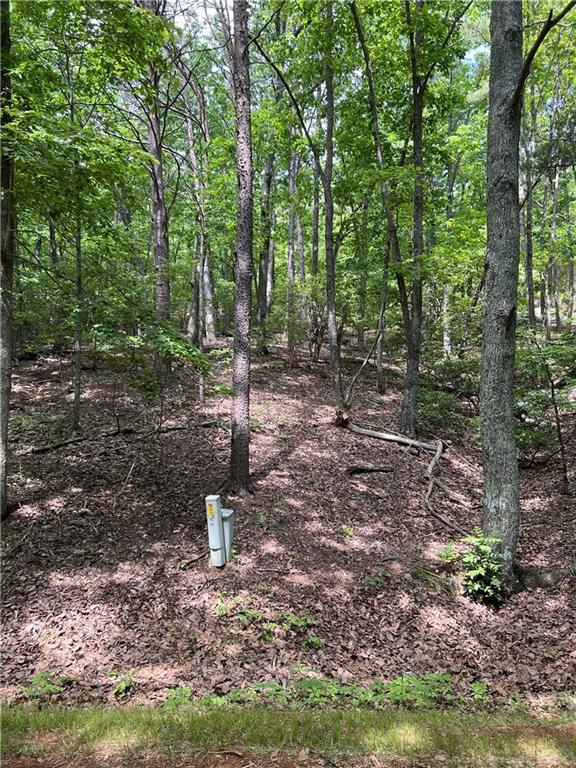 9070 Yearling Lane, Big Canoe, Georgia image 3