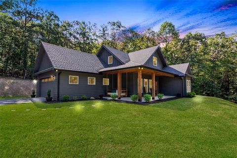 301 Willow Oak Trail Ellijay GA 30540