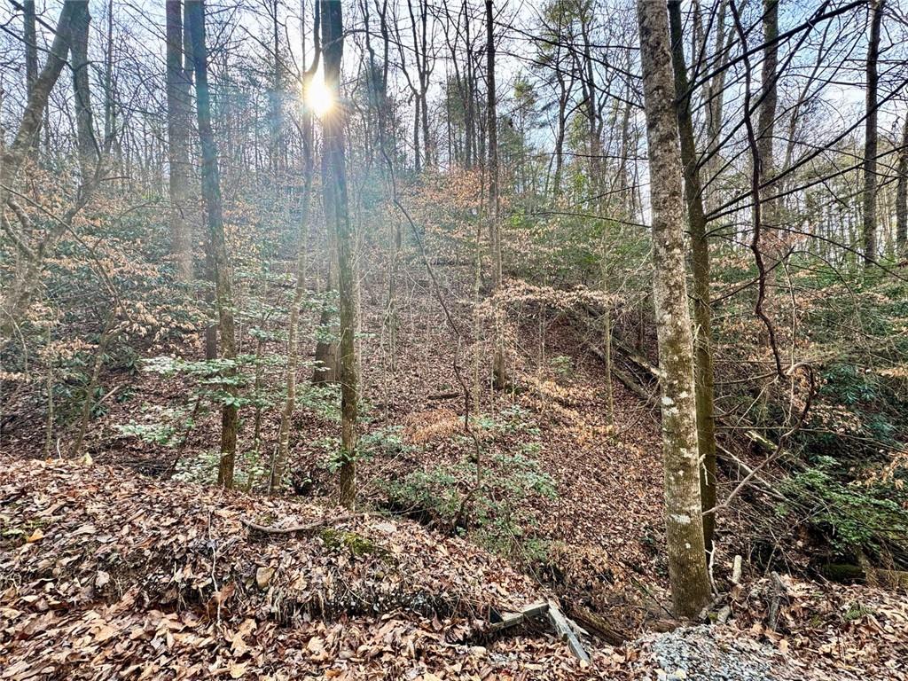 L53 Amy Creek Circle