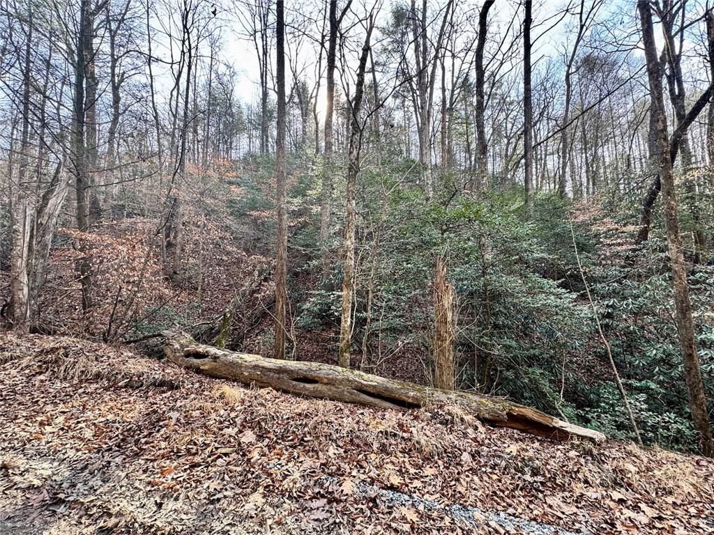 L53 Amy Creek Circle