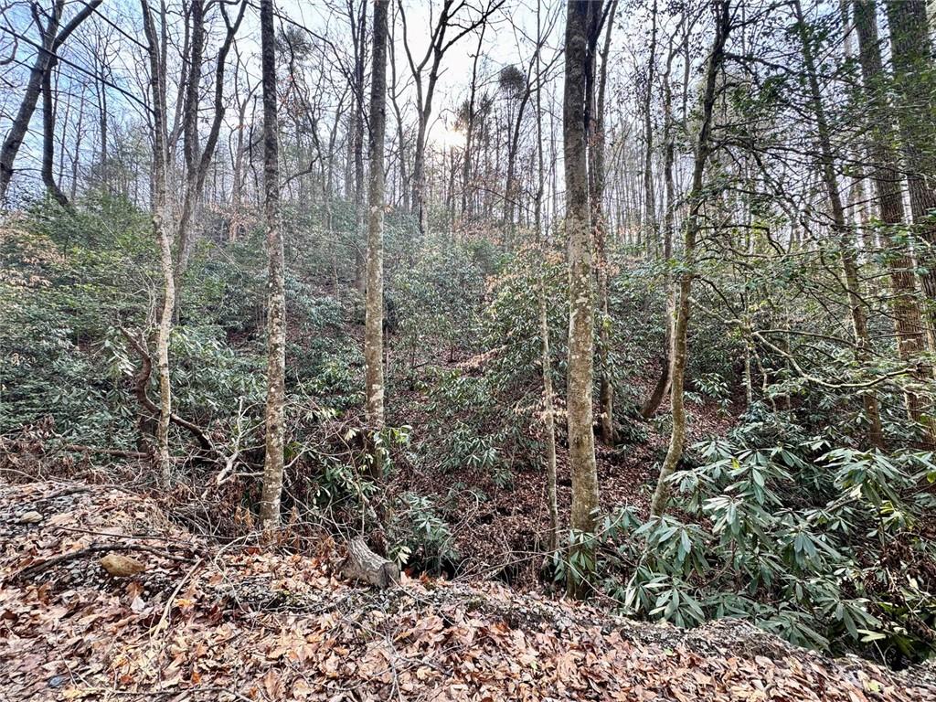 L53 Amy Creek Circle