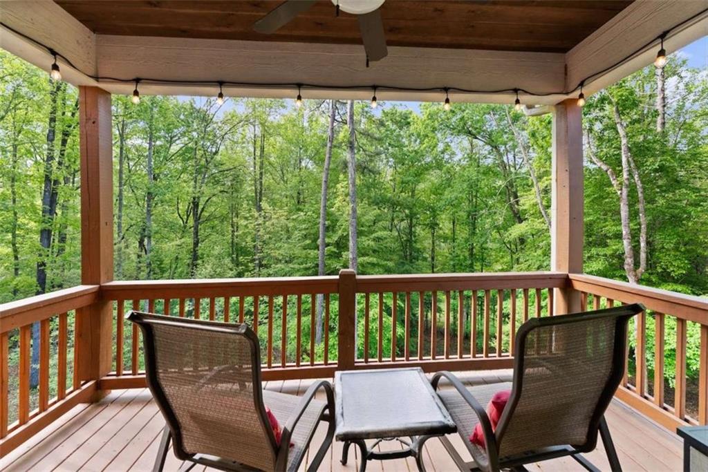 457 Celie Ann Seabolt Road, Cleveland, Georgia image 24