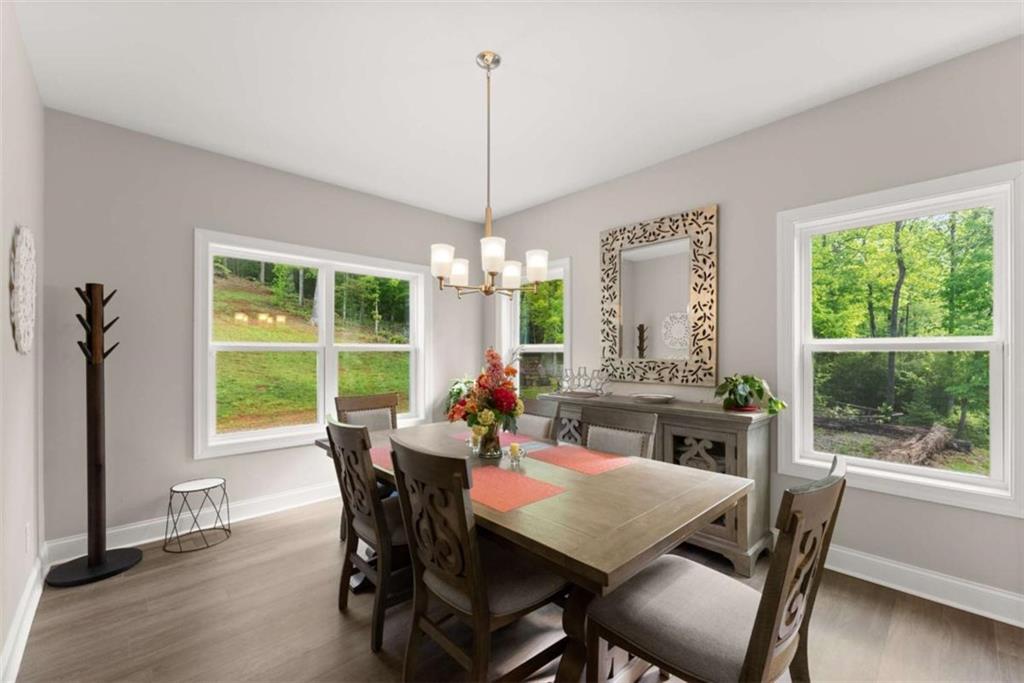 457 Celie Ann Seabolt Road, Cleveland, Georgia image 18