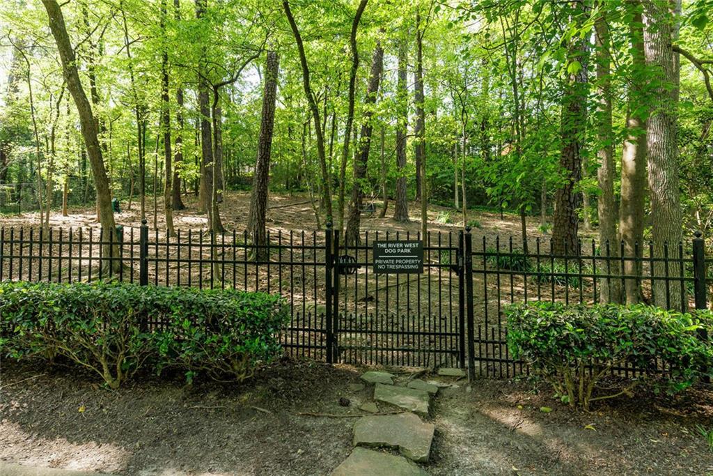 4246 River Green Drive #202, Atlanta, Georgia image 29
