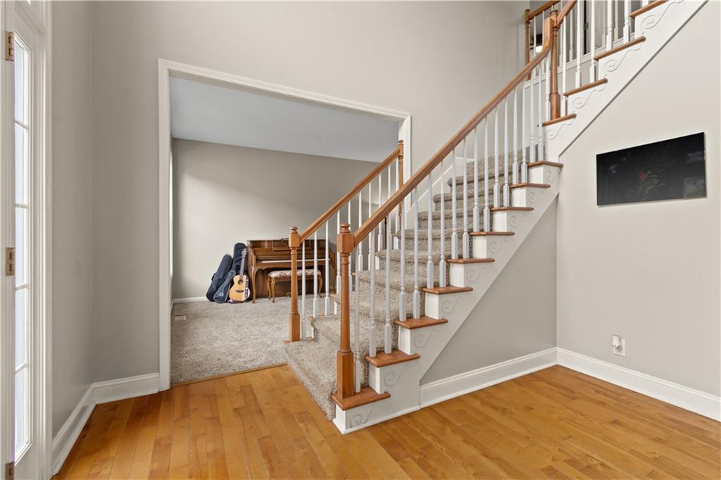 243 Ribbon Leaf View