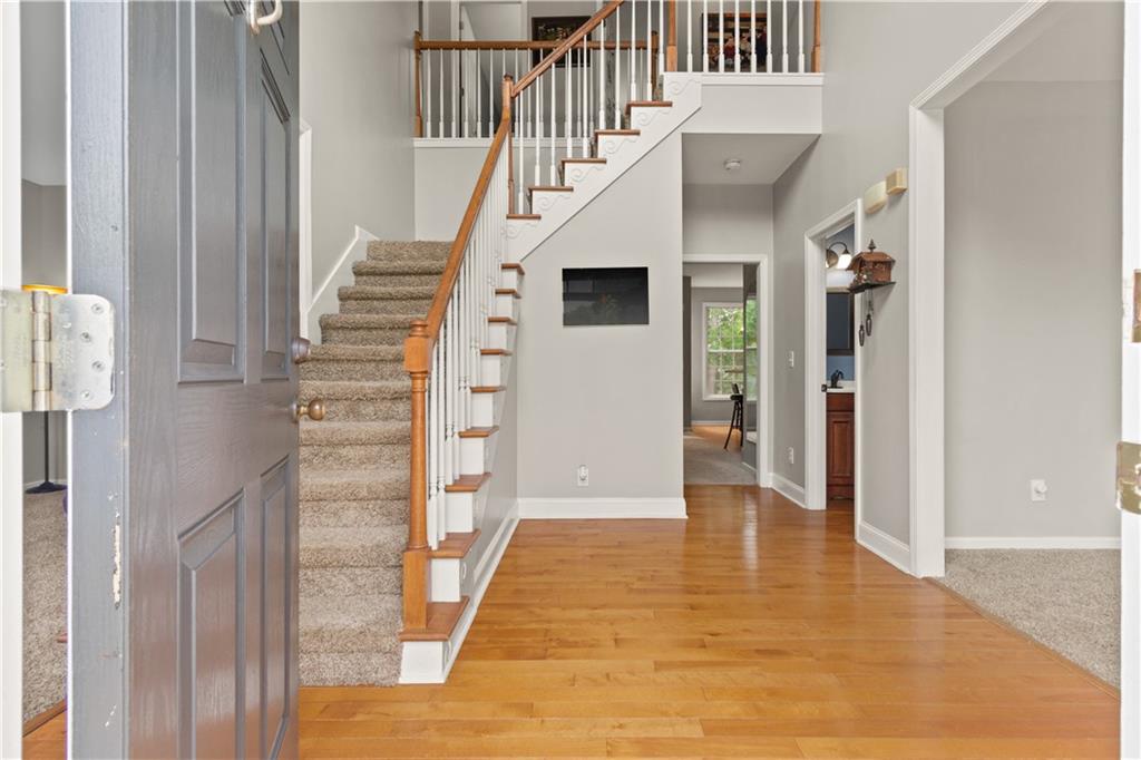 243 Ribbon Leaf View