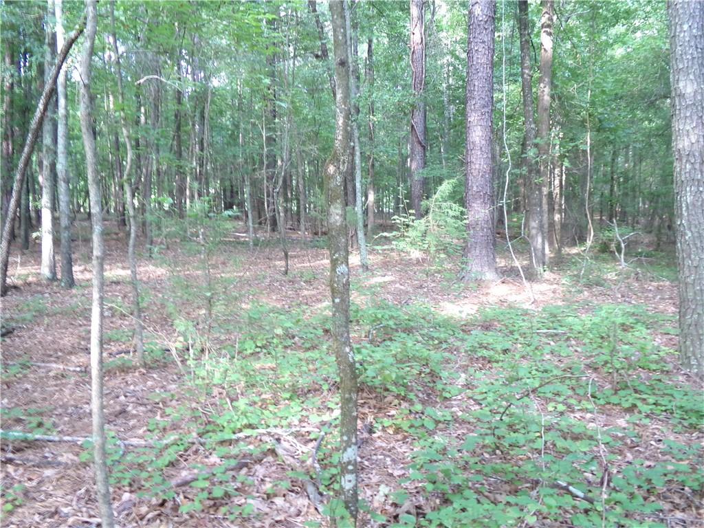 35 AC Youth Jersey Road, Covington, Georgia image 33