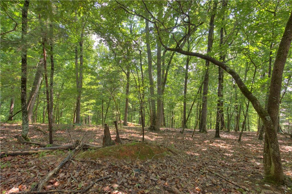 2902 Meadowbrook Ridge, Big Canoe, Georgia image 9