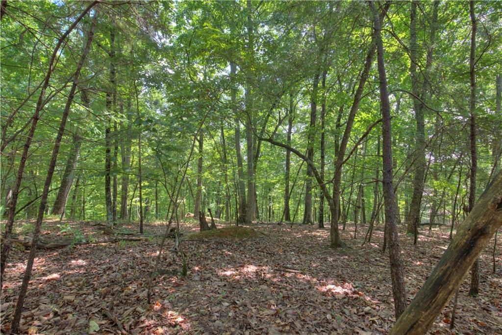 2902 Meadowbrook Ridge, Big Canoe, Georgia image 8