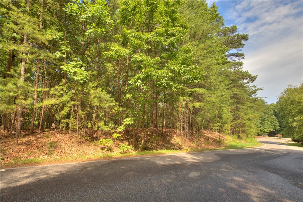 2902 Meadowbrook Ridge, Big Canoe, Georgia image 2