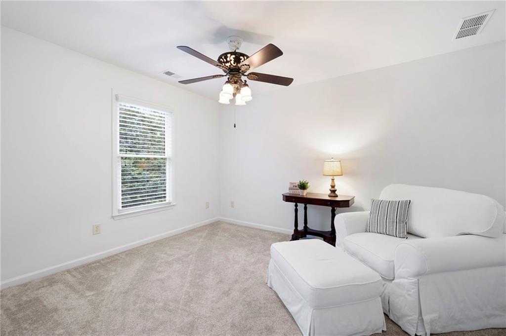 255 Sweet Birch Lane, Dallas, Georgia image 20