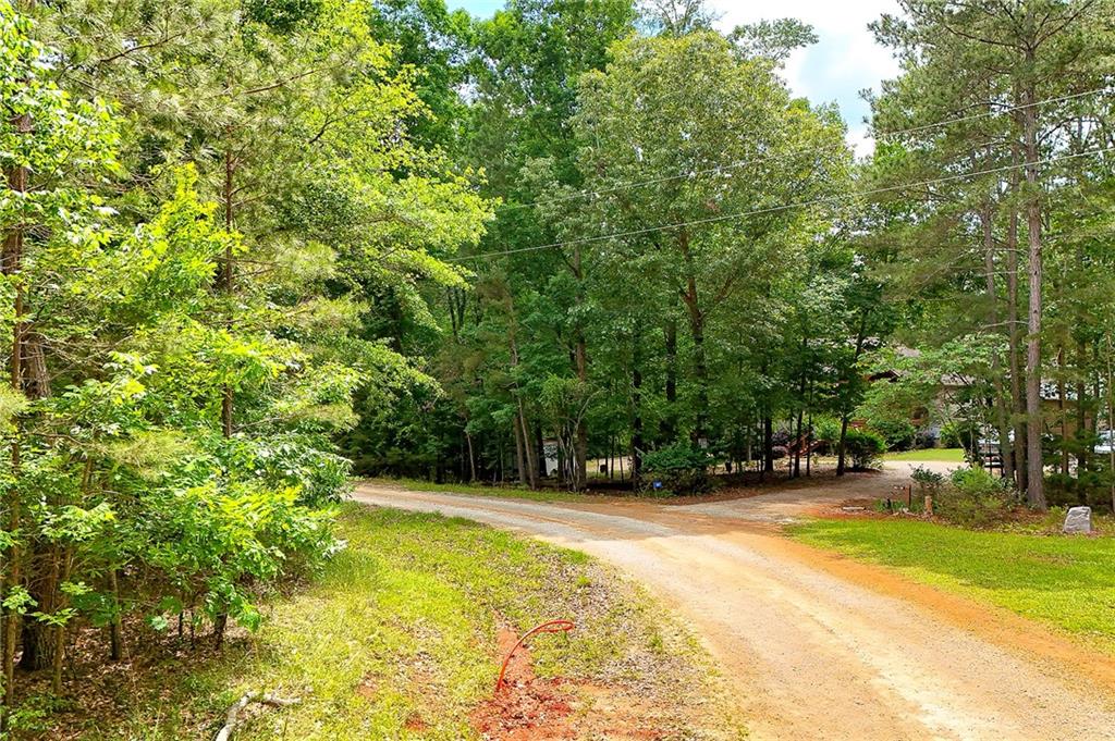 Pristine Cove, Hartwell, Georgia image 11