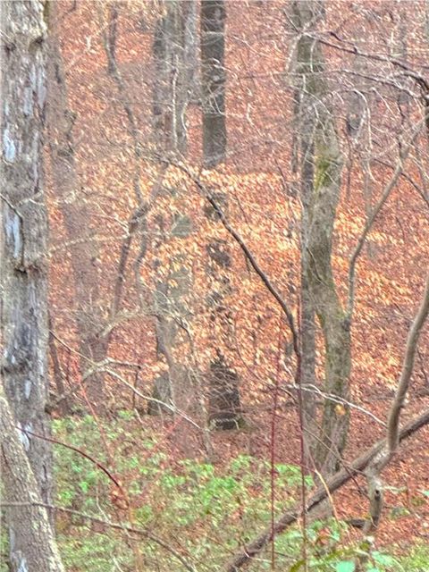 00 Crooked Creek Jasper GA 30143