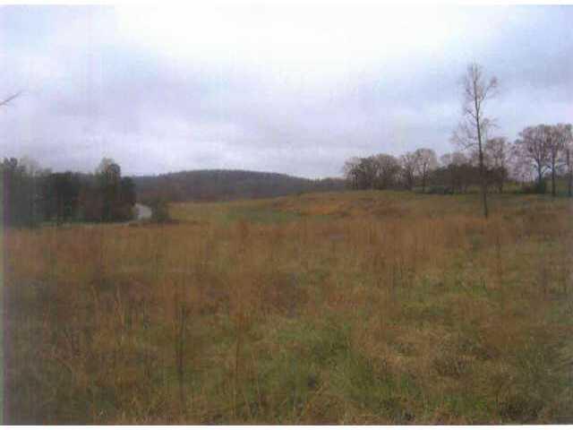 BEAUTIFUL ROLLING PROPERTY. 0.80 MILES OF ROAD FRONTAGE ON WESTERN SIDE OF DIAMOND HILL RD. COMBINATION OF PASTURE/WOODED LAND. HOUSE DOES NOT CONVEY WITH PROPERTY. READY TO SUB-DIVIDE OR HUNT FARM / YOU DECIDE.