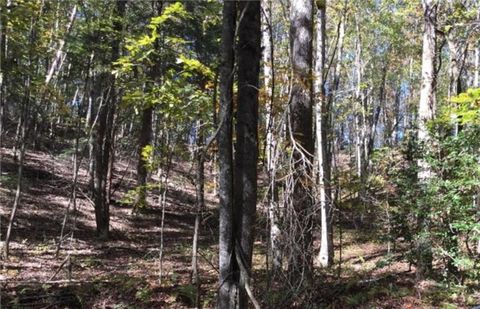 Vacant Land For Sale - Walhalla Lot 387 Court<br/> Ellijay, GA 30540
