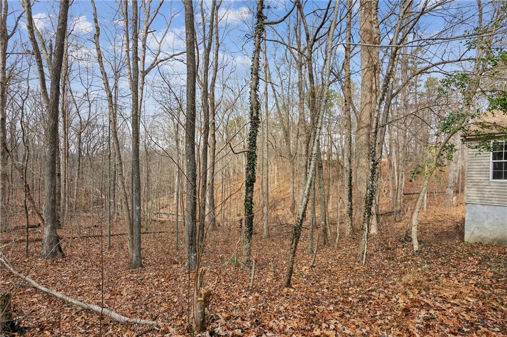 1956 Bend N Hickory Road, Toccoa, Georgia image 36