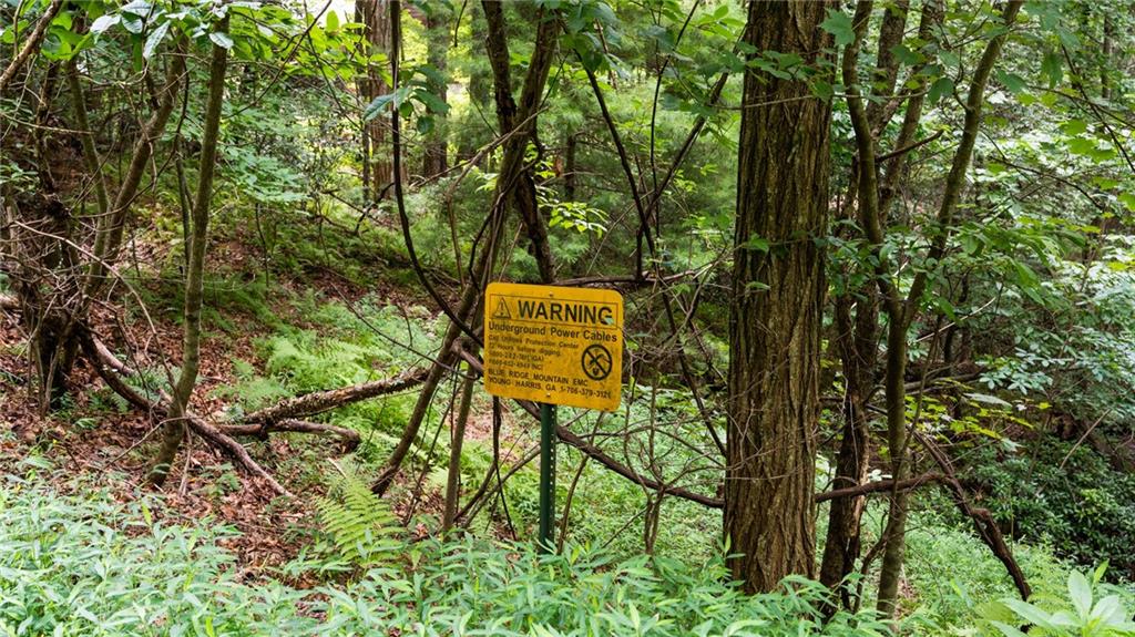 LOT 10 Papa Bear Path