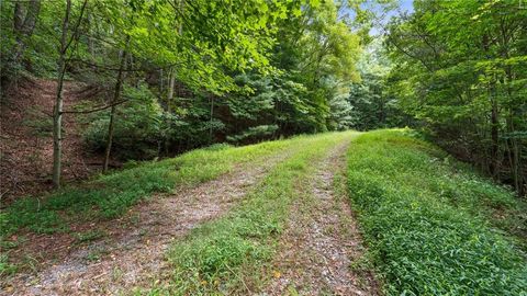 Vacant Land For Sale - LOT 10 Papa Bear Path<br/> Cherry Log, GA 30522