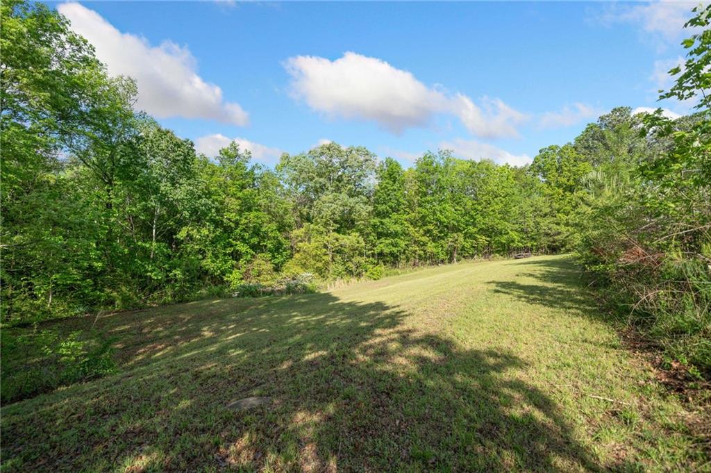 1575 Davis Road, Fairmount, Georgia image 36