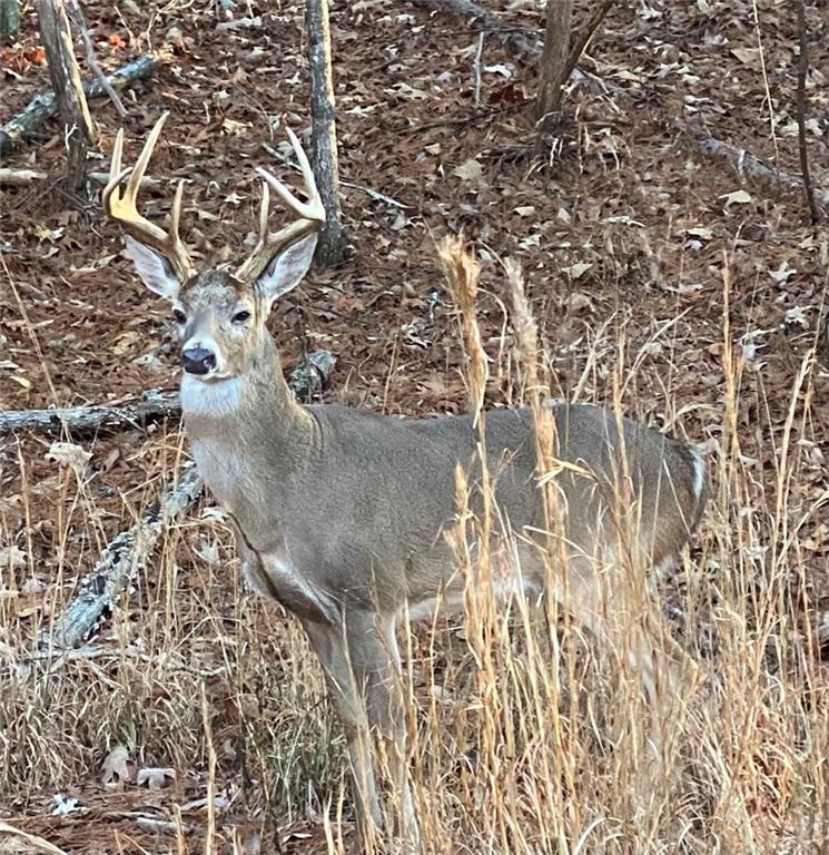 Lake Arrowhead - Residential