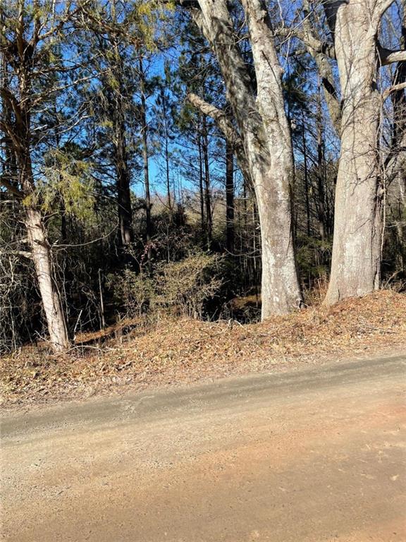 Barton Bridge- Lot 3 Road, Monroe, Georgia image 7