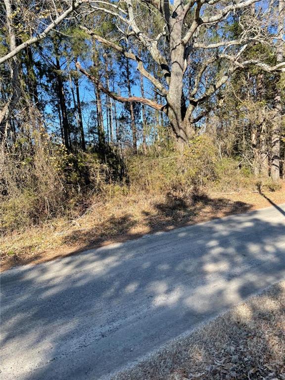 Barton Bridge- Lot 3 Road, Monroe, Georgia image 8