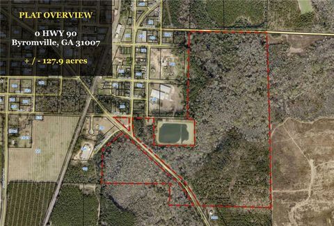 Vacant Land For Sale - Highway 90<br/> Dooly County, Byromville, GA 31007