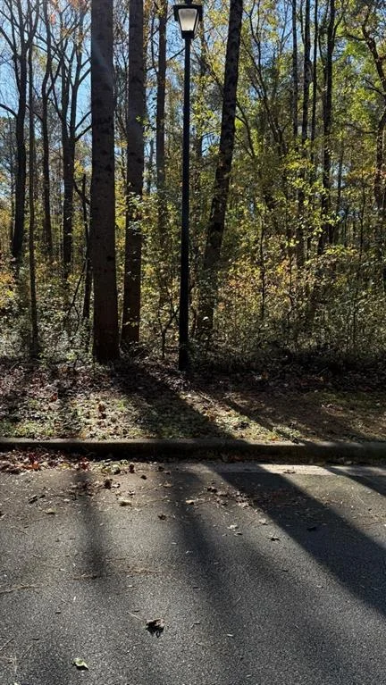 LOT 15 Fairview Springs Drive, Ellenwood, GA, 30284