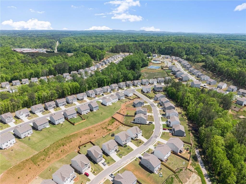 124 White Cedar Drive, Dawsonville, Georgia image 49