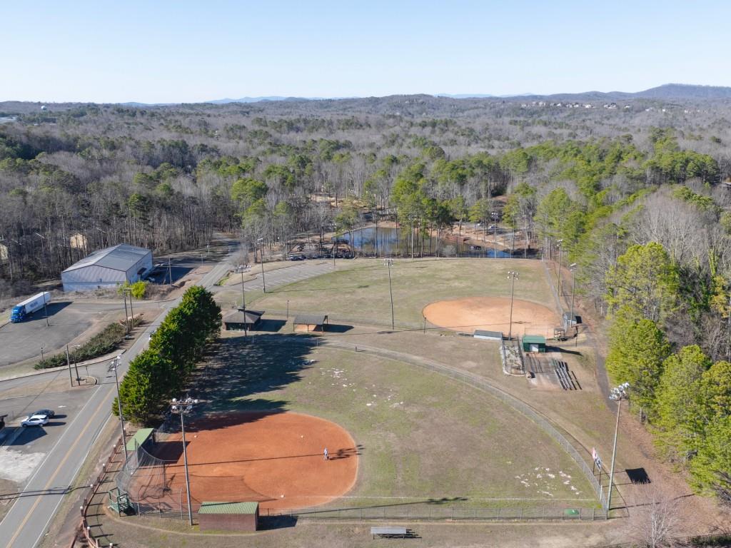 49 Pepperbush Way, Jasper, Georgia image 40