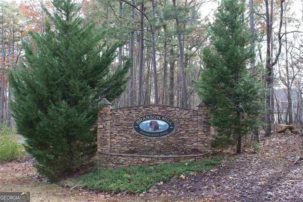 20 Branson Mill Drive, Cartersville, Georgia image 2