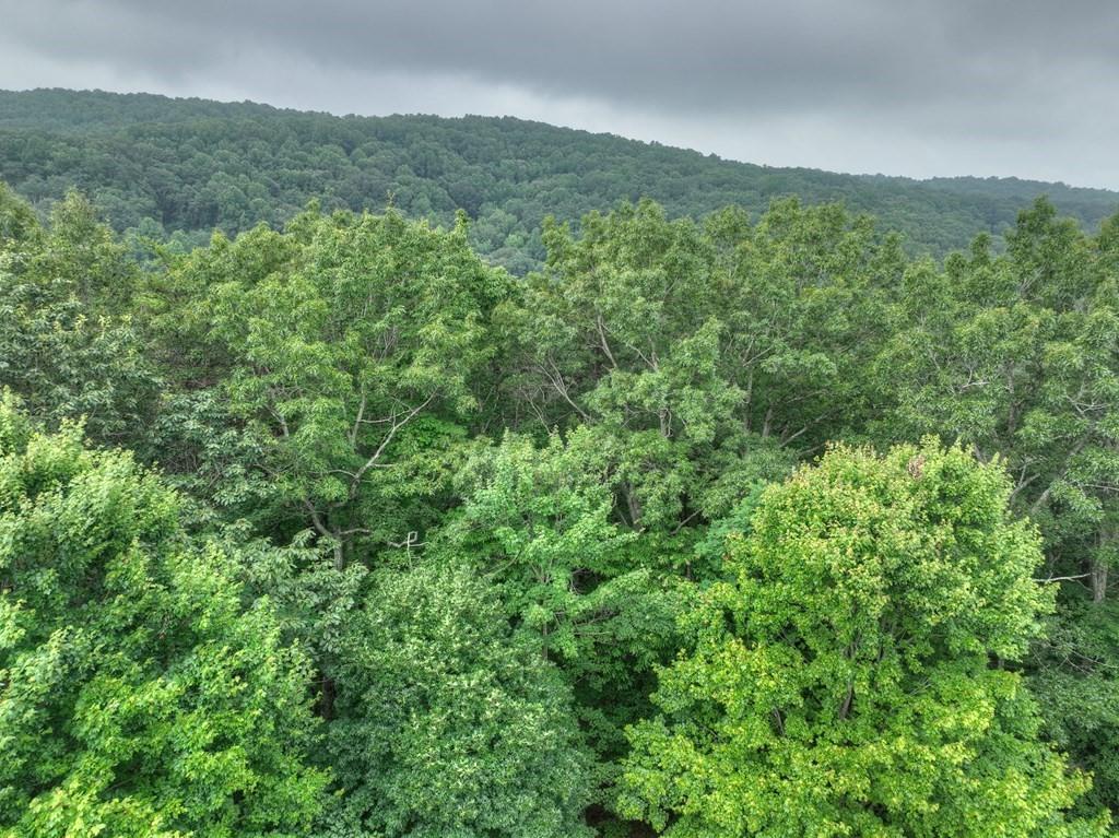 337 Northview Parkway