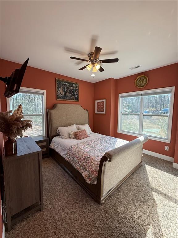 197 Buckhorn Dr Dr, Temple, Georgia image 48