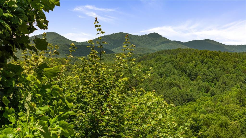 469 Mountain High Drive, Mineral Bluff, Georgia image 3