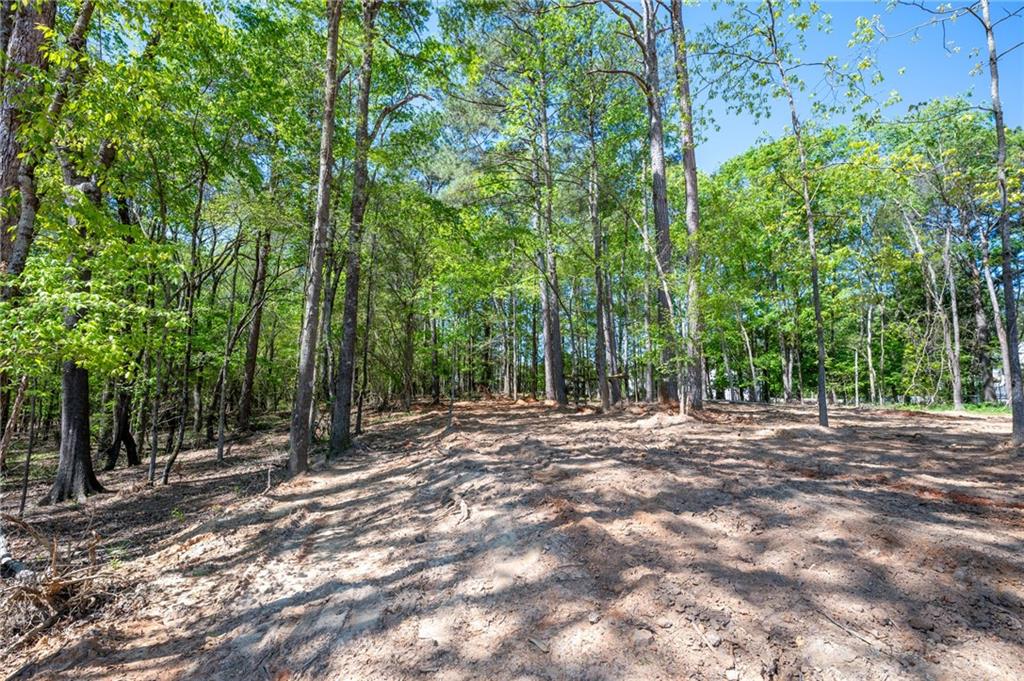 115 Harrison Lane, Calhoun, Georgia image 4