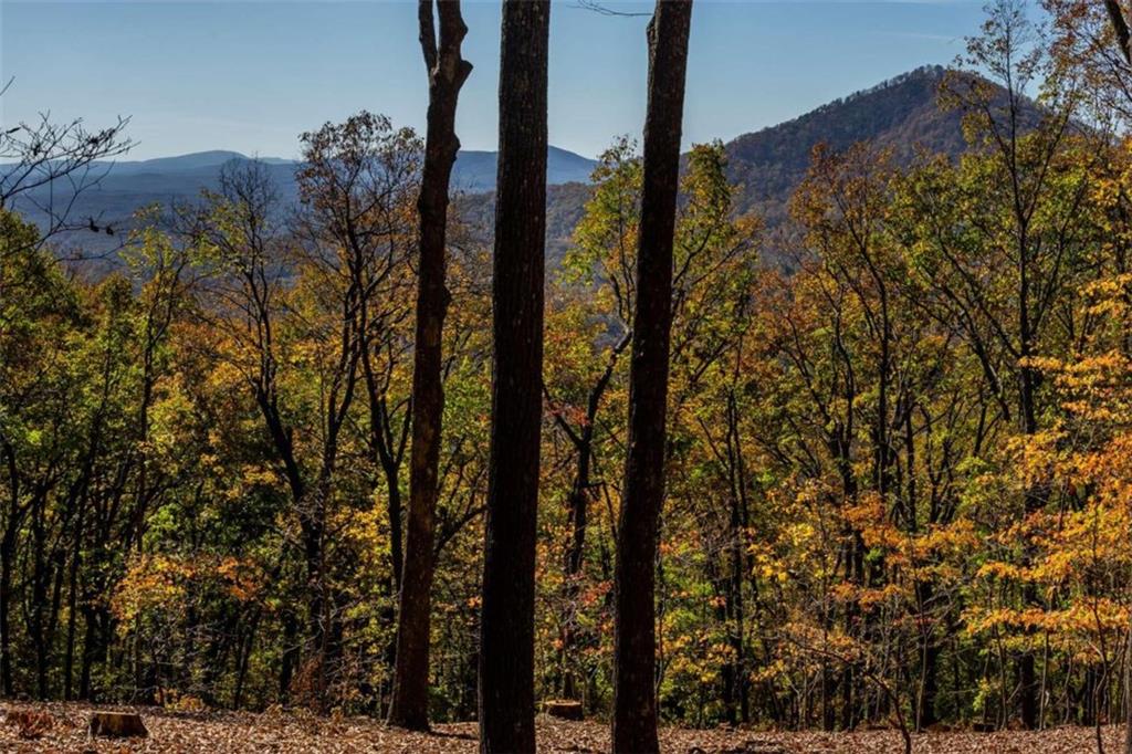 40.5 A Windsong, Jasper, Georgia image 30