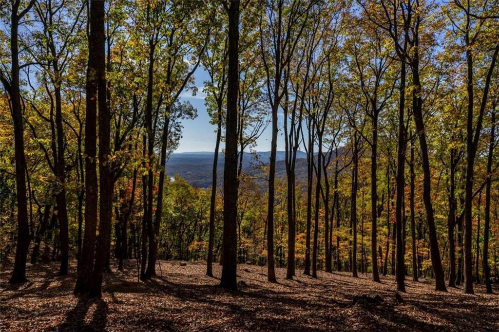 40.5 A Windsong, Jasper, Georgia image 33