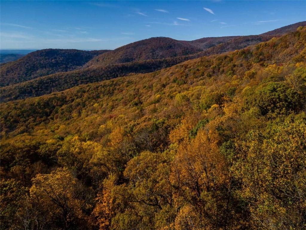 40.5 A Windsong, Jasper, Georgia image 6