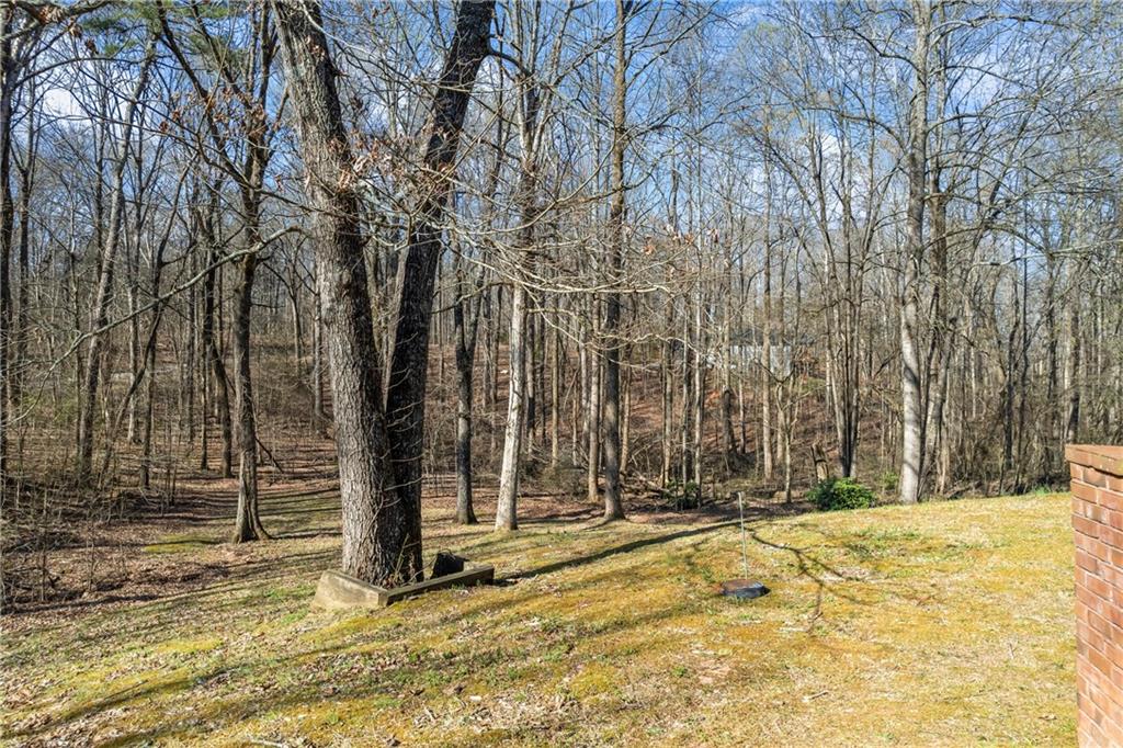 5595 Rolling Acres Lane, Cumming, Georgia image 43