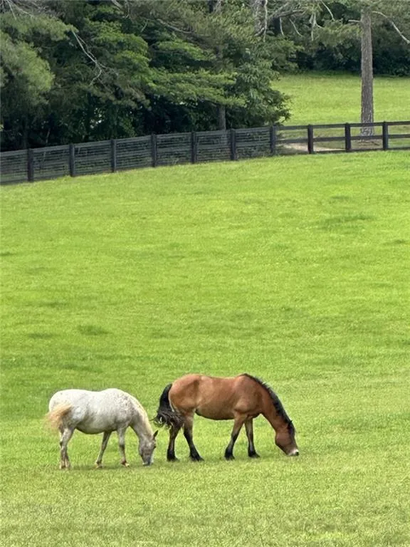 Clayton, Georgia 30525, United States, 4 Bedrooms Bedrooms, ,5 BathroomsBathrooms,Residential,Active,20670