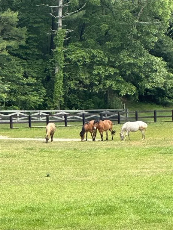 Clayton, Georgia 30525, United States, 4 Bedrooms Bedrooms, ,5 BathroomsBathrooms,Residential,Active,20670