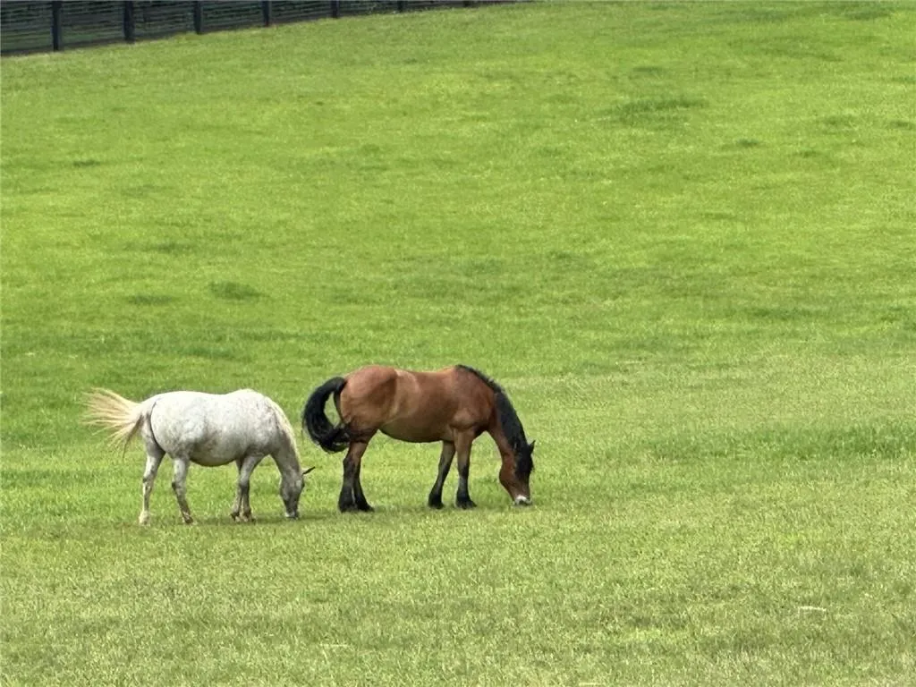 Clayton, Georgia 30525, United States, 4 Bedrooms Bedrooms, ,5 BathroomsBathrooms,Residential,Active,20670