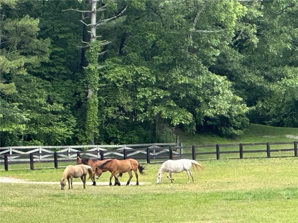 Clayton, Georgia 30525, United States, 4 Bedrooms Bedrooms, ,5 BathroomsBathrooms,Residential,Active,20670