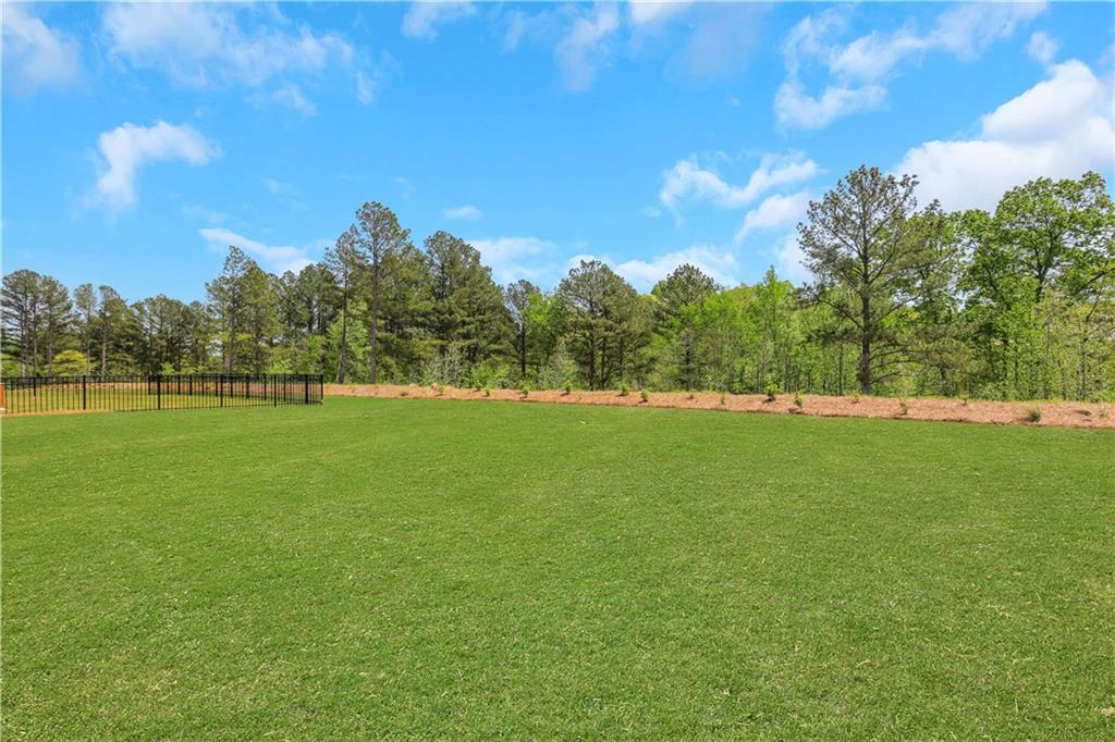 277 Bear Way Way, Hoschton, Georgia image 42