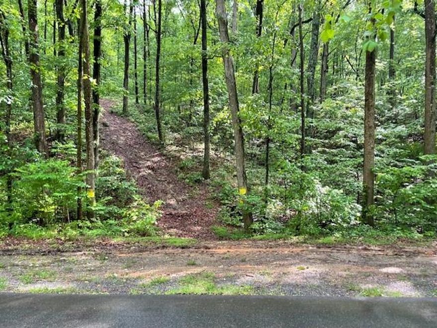 Disconnect from it all on this thirty-acre wooded sanctuary just an hour's drive from downtown Atlanta and a few minutes from downtown Jasper, a quaint area offering all the conveniences of city living without the stress. Be transported into a landscape of rolling hills, diverse wildlife, hidden waterfalls, and jaw-dropping, panoramic views. Multiple points would serve as ideal locations to situate your on or off-grid mountain retreat. Some site work has been done to make the higher elevation areas easier to access, and a path now exists which is accessible by a stalwart all-terrain vehicle. It is truly a breathtaking tract of land and must be seen to be fully appreciated.