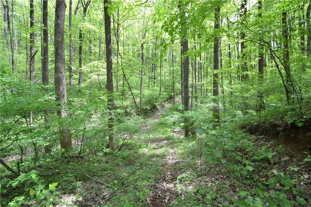 Sutton Road, Talking Rock, Georgia image 17