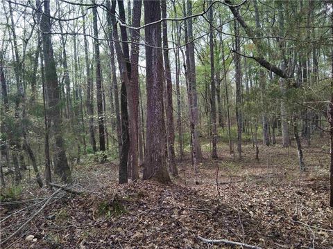 Vacant Land For Sale - 75 Lee Ln<br/> Greenville, GA 30222