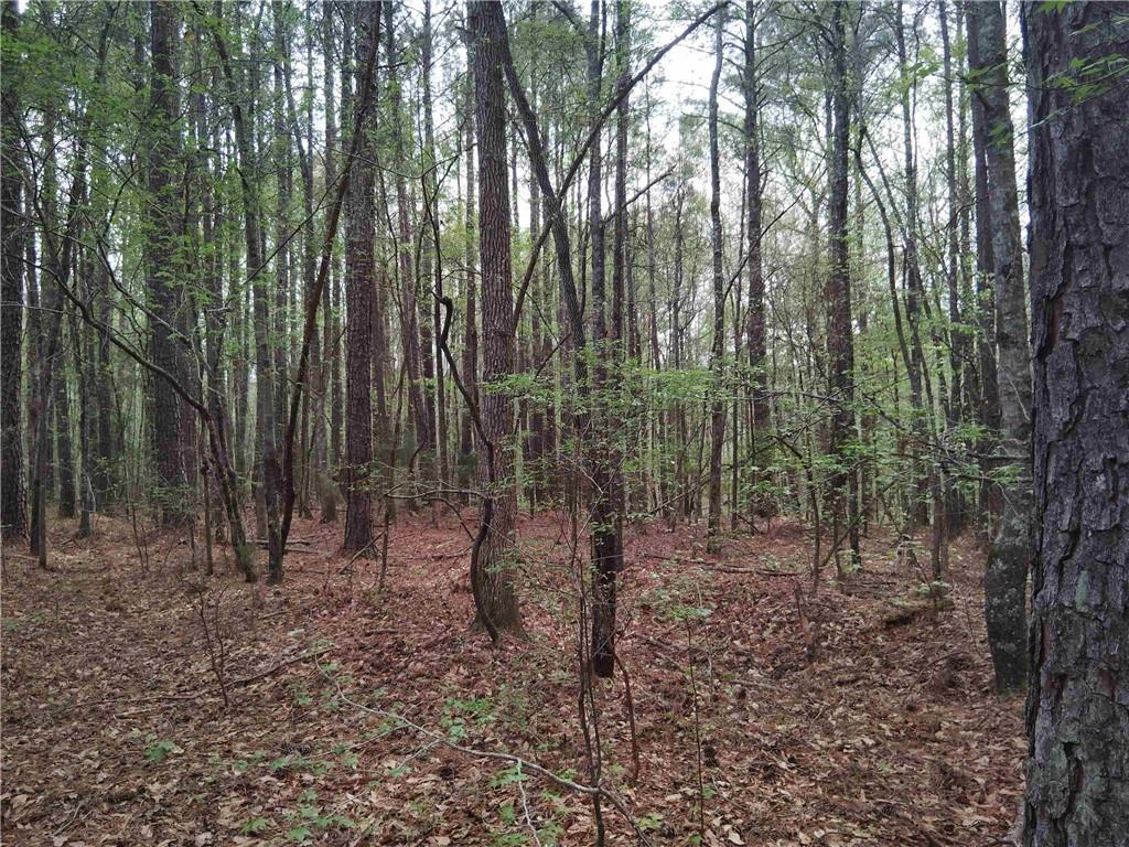 75 Lee Lane Ln, Greenville, Georgia image 15
