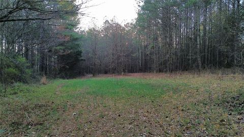 Vacant Land For Sale - 8165 Highway 81<br/> Bethlehem, GA 30620